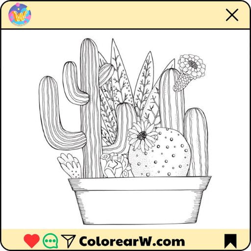 Cactus para colorear thumbnail