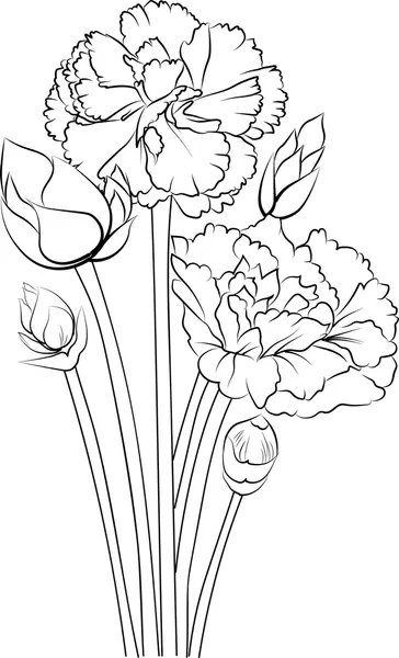 Clavel 27 Clavel para Colorear 18