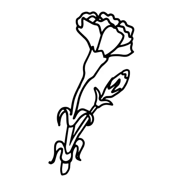 Clavel 29 Clavel para Colorear 20