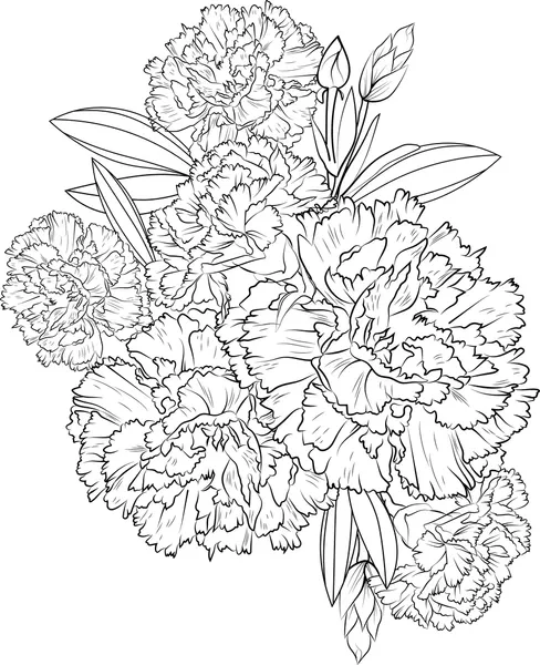 Clavel 30 Clavel para Colorear 21