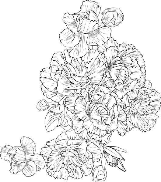 Clavel 18 Clavel para Colorear 9