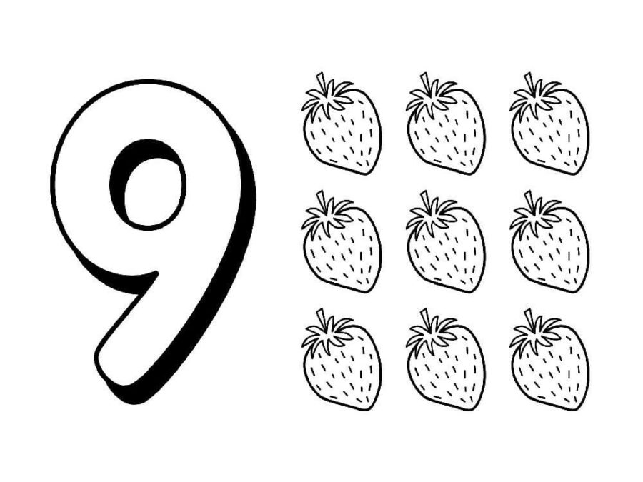 Numero para colorear 45