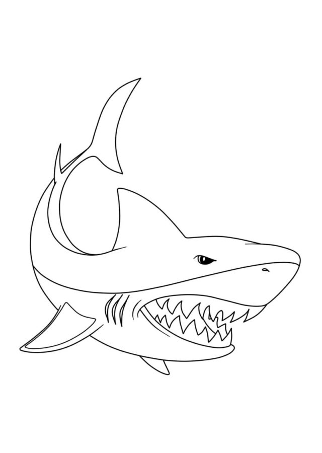 Tiburones 117 Tiburones para Colorear 105