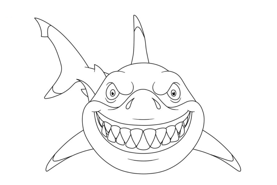Tiburones 118 Tiburones para Colorear 106