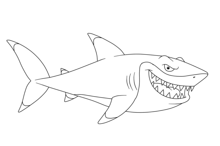 Tiburones 119 Tiburones para Colorear 107