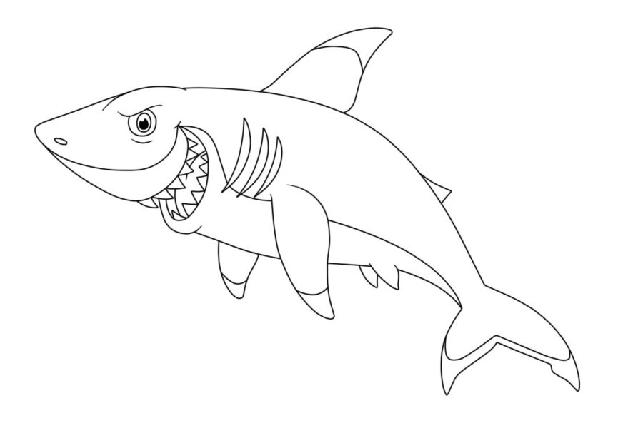 Tiburones 121 Tiburones para Colorear 109