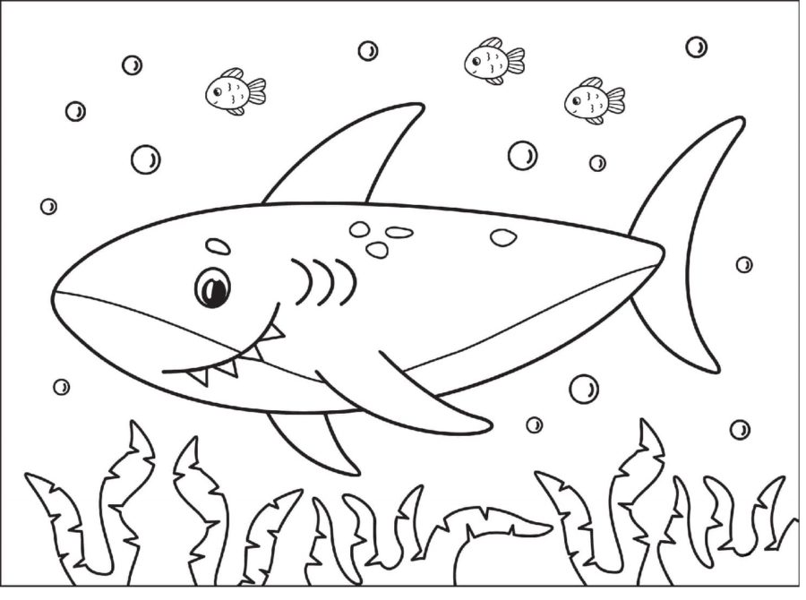 Tiburones 24 Tiburones para Colorear 11