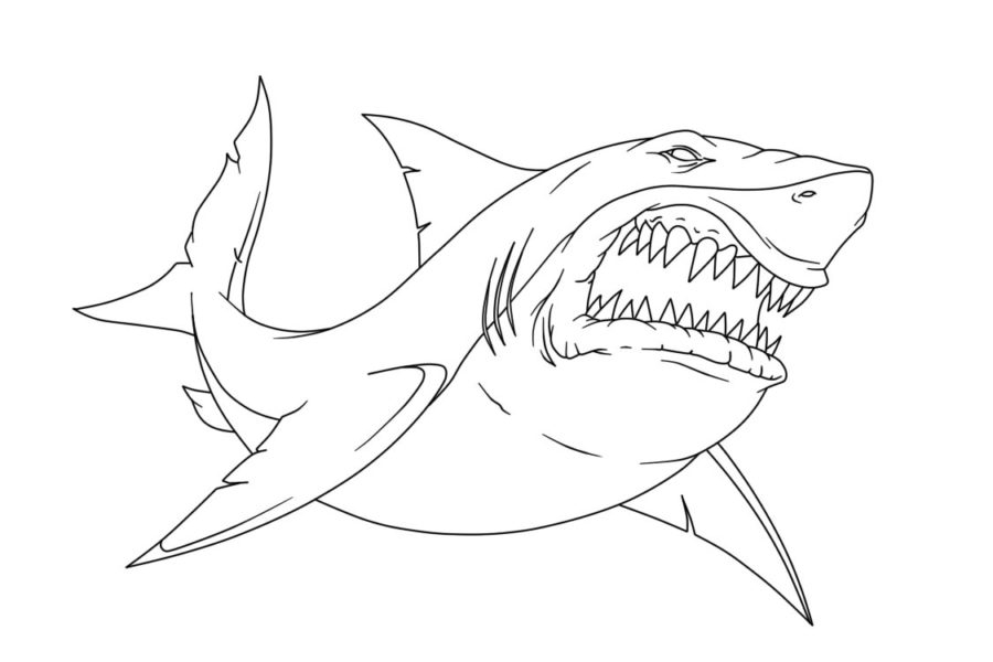 Tiburones 122 Tiburones para Colorear 110