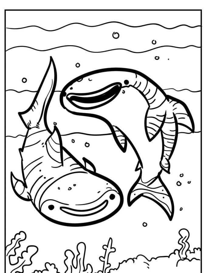 Tiburones 27 Tiburones para Colorear 14
