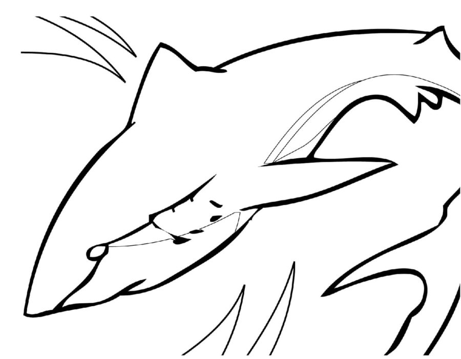 Tiburones 36 Tiburones para Colorear 23