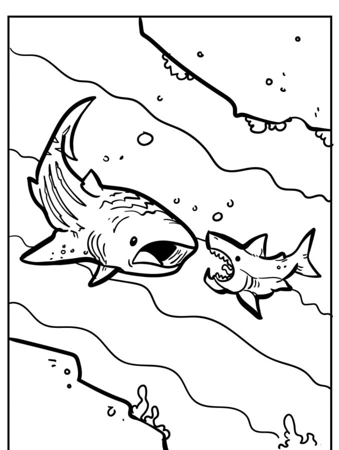 Tiburones 40 Tiburones para Colorear 27