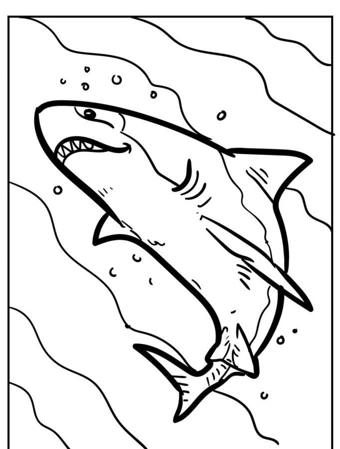 Tiburones 45 Tiburones para Colorear 32