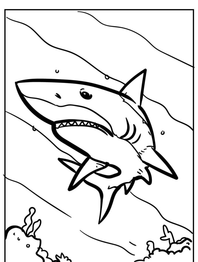 Tiburones 47 Tiburones para Colorear 34
