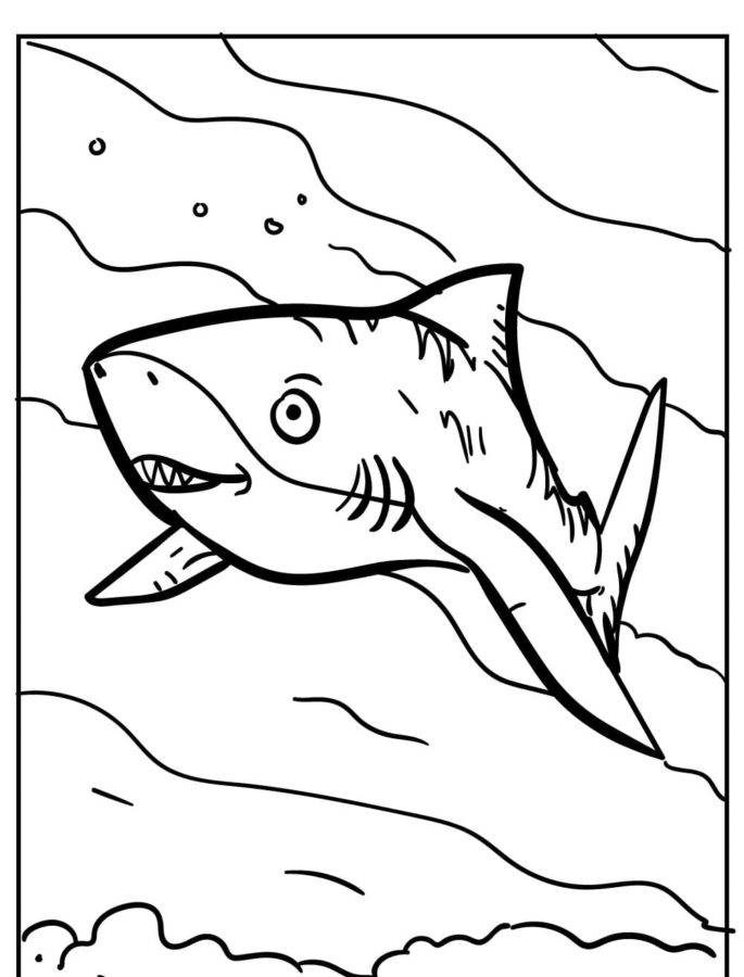 Tiburones 48 Tiburones para Colorear 35