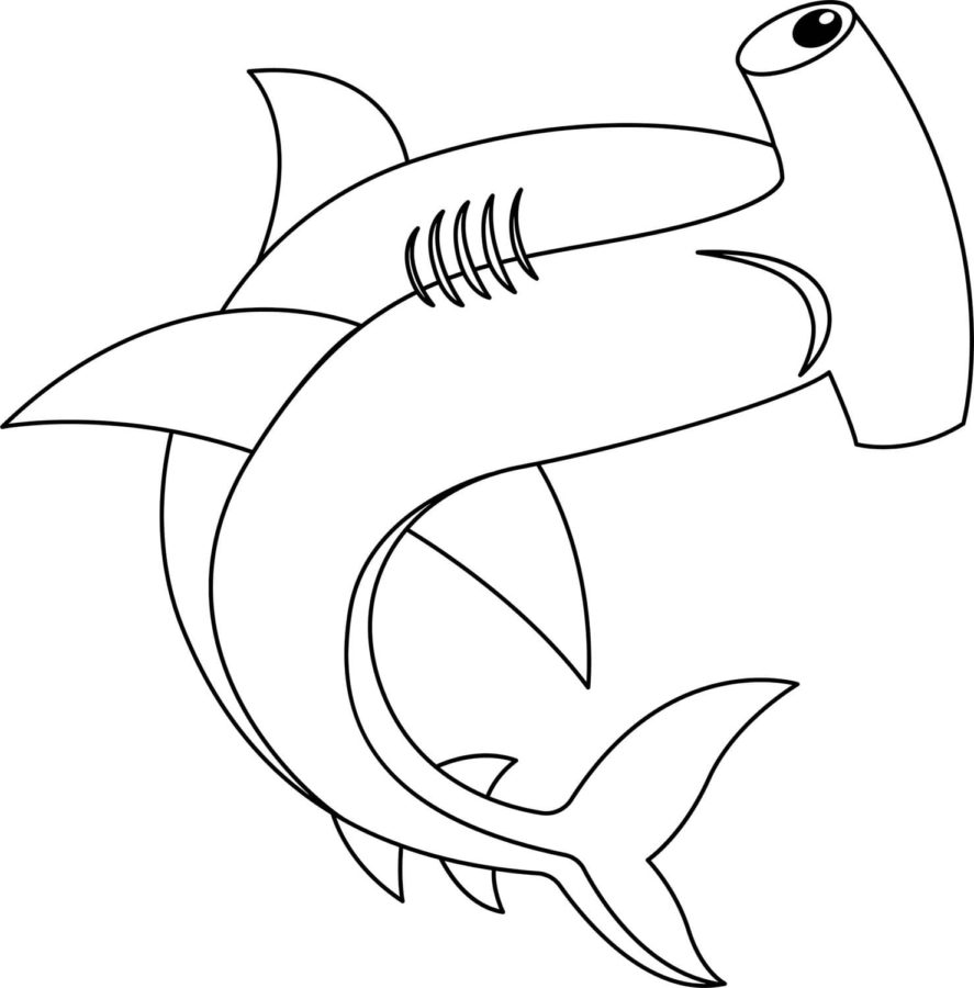 Tiburones 49 Tiburones para Colorear 36