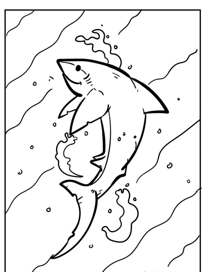 Tiburones 53 Tiburones para Colorear 40