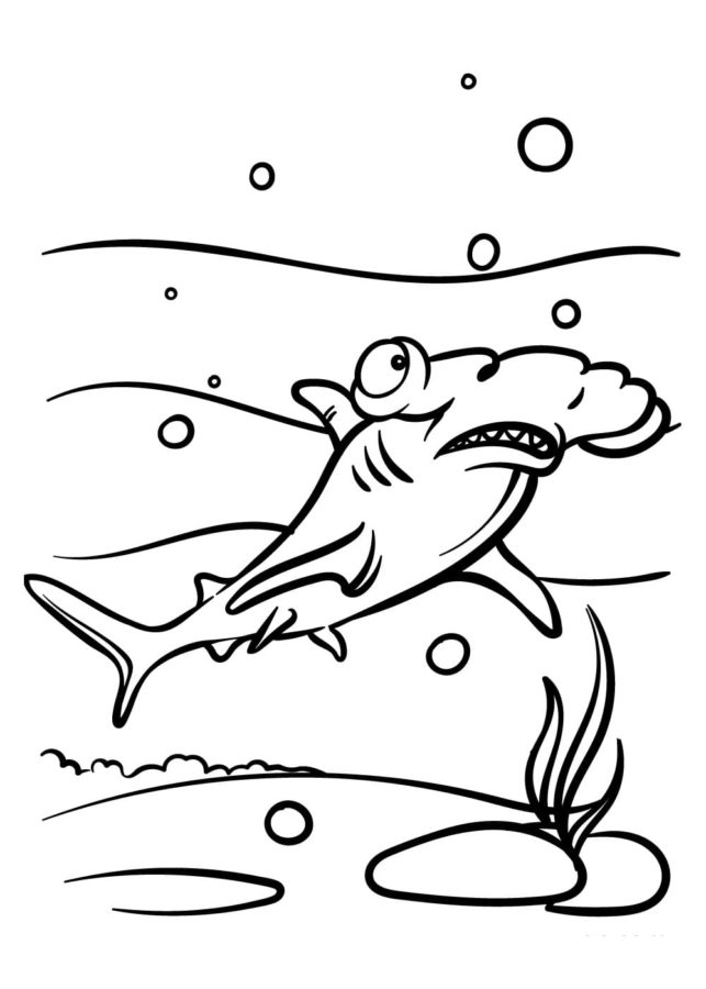 Tiburones 54 Tiburones para Colorear 41