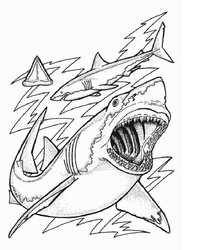 Tiburones 58 Tiburones para Colorear 45