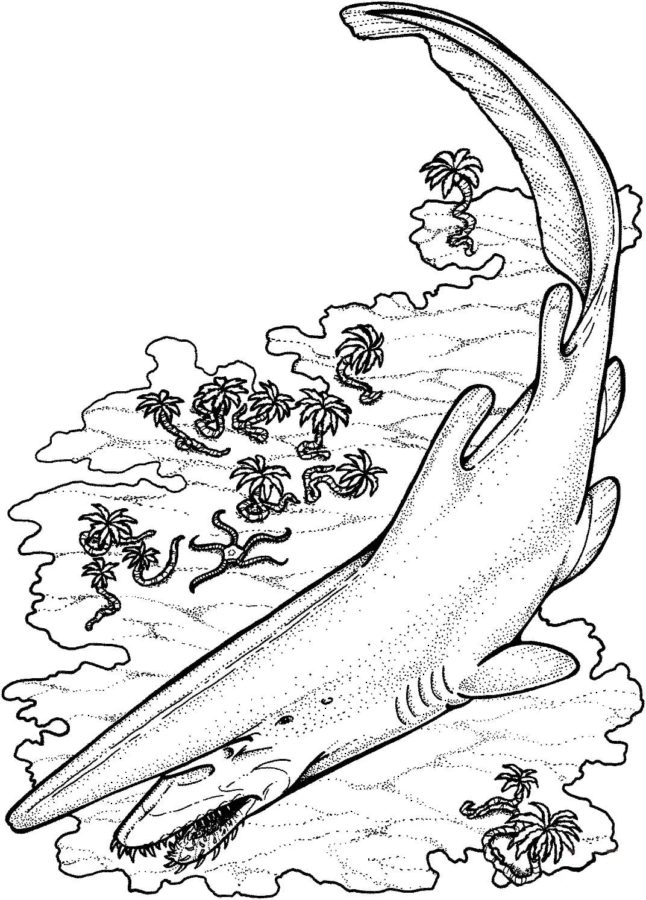 Tiburones 18 Tiburones para Colorear 5
