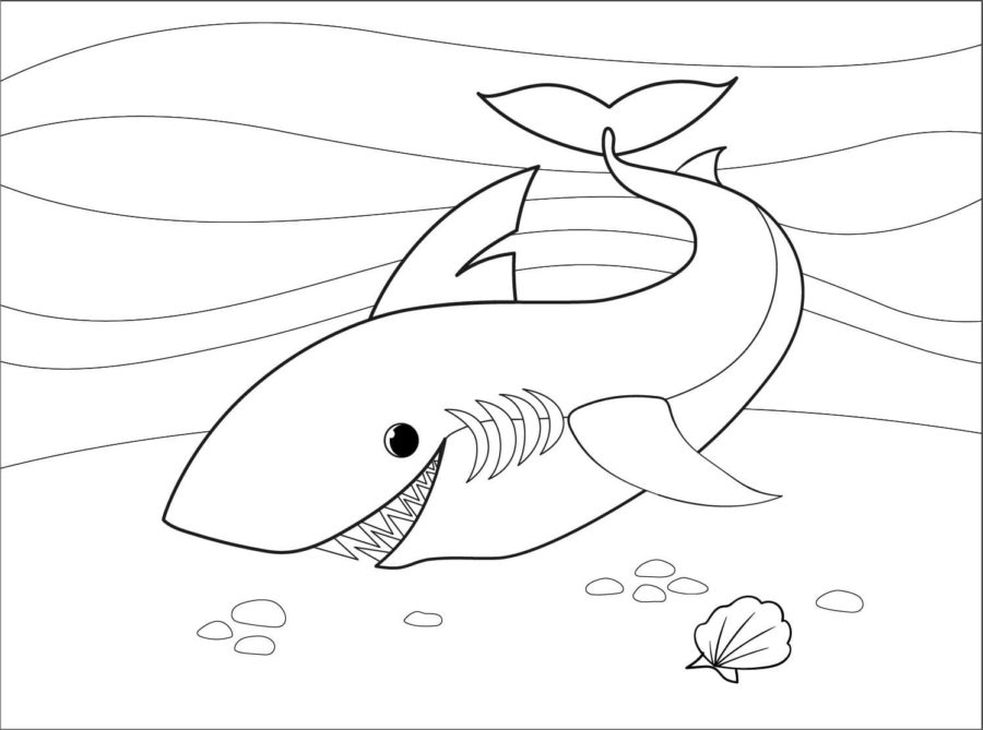 Tiburones 63 Tiburones para Colorear 50