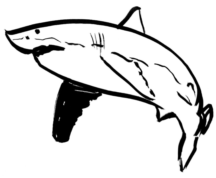 Tiburones 67 Tiburones para Colorear 54