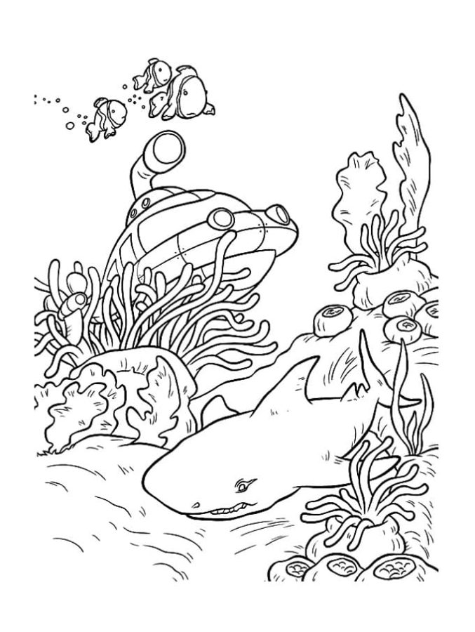 Tiburones 70 Tiburones para Colorear 57