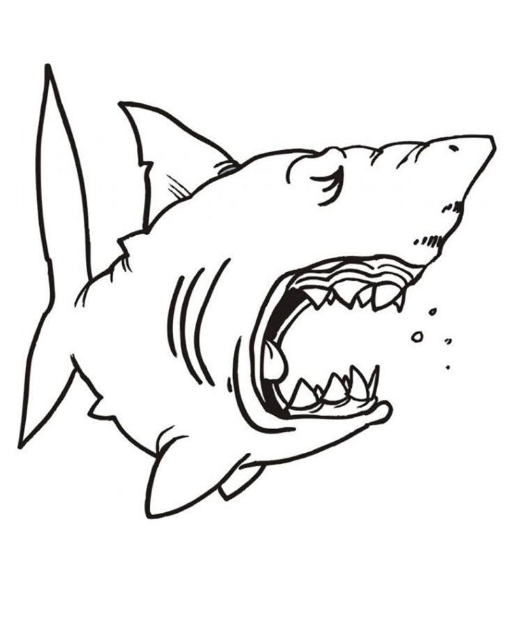 Tiburones 71 Tiburones para Colorear 58