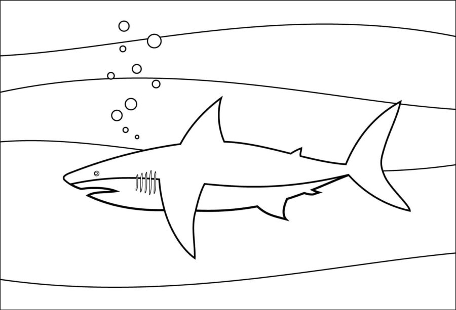 Tiburones 76 Tiburones para Colorear 63