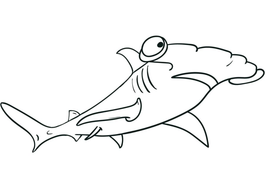 Tiburones 81 Tiburones para Colorear 68