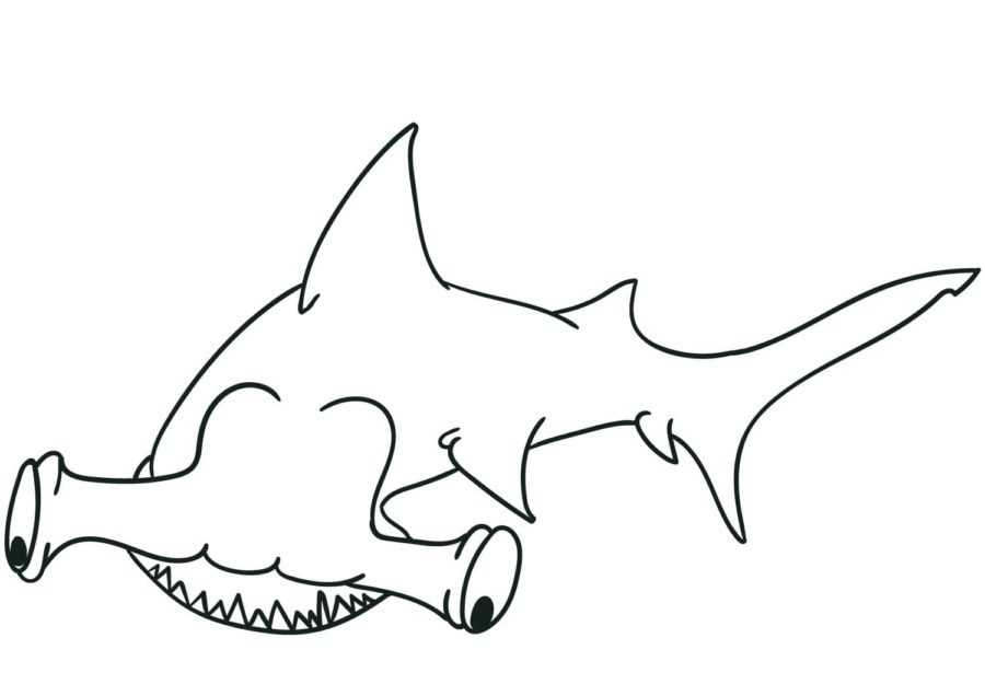 Tiburones 82 Tiburones para Colorear 69