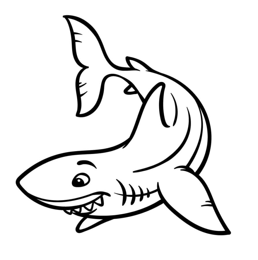 Tiburones 86 Tiburones para Colorear 73