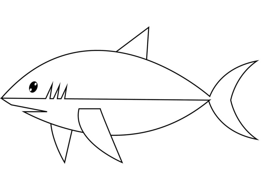 Tiburones 87 Tiburones para Colorear 74