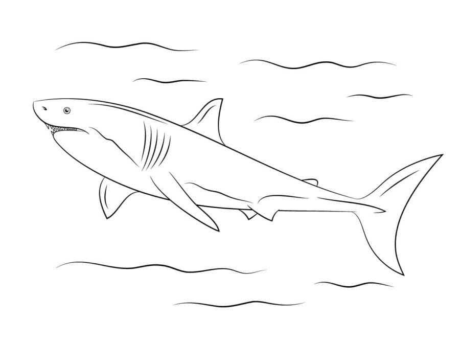 Tiburones 98 Tiburones para Colorear 86