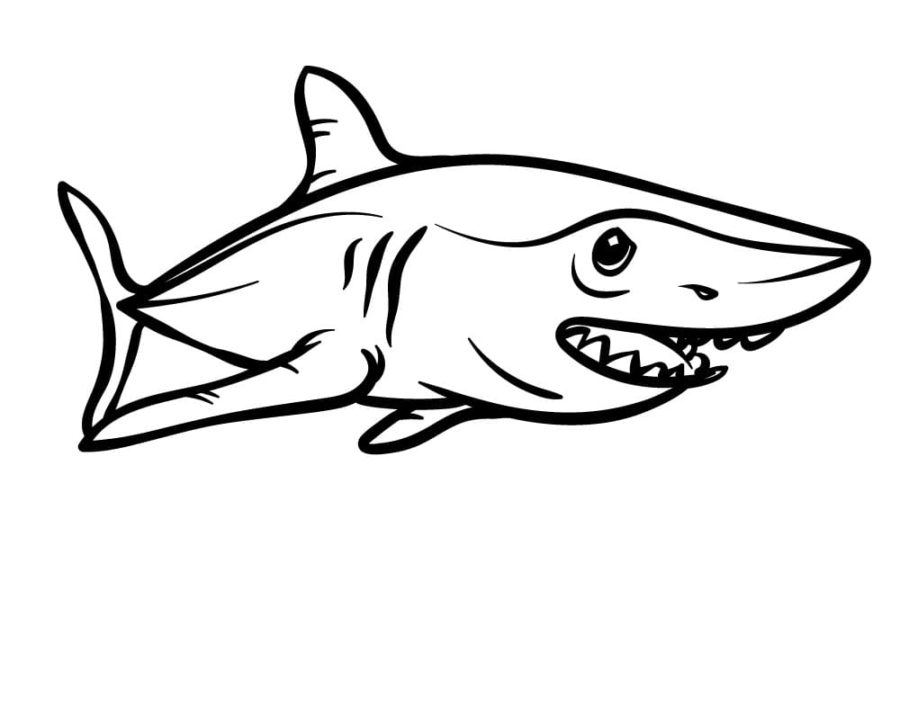 Tiburones 99 Tiburones para Colorear 87