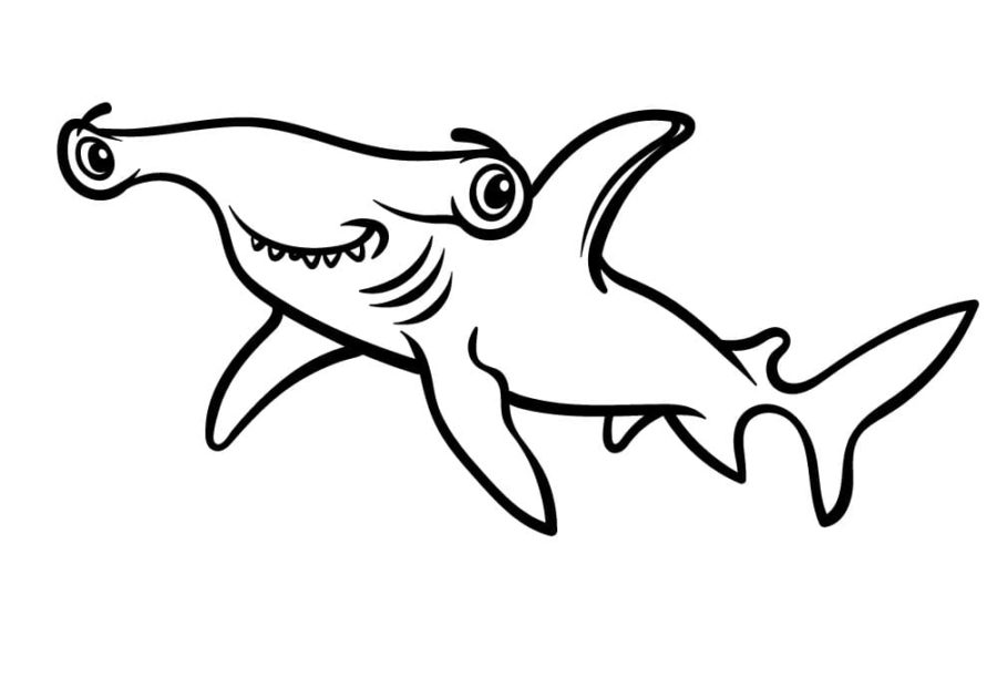 Tiburones 107 Tiburones para Colorear 95