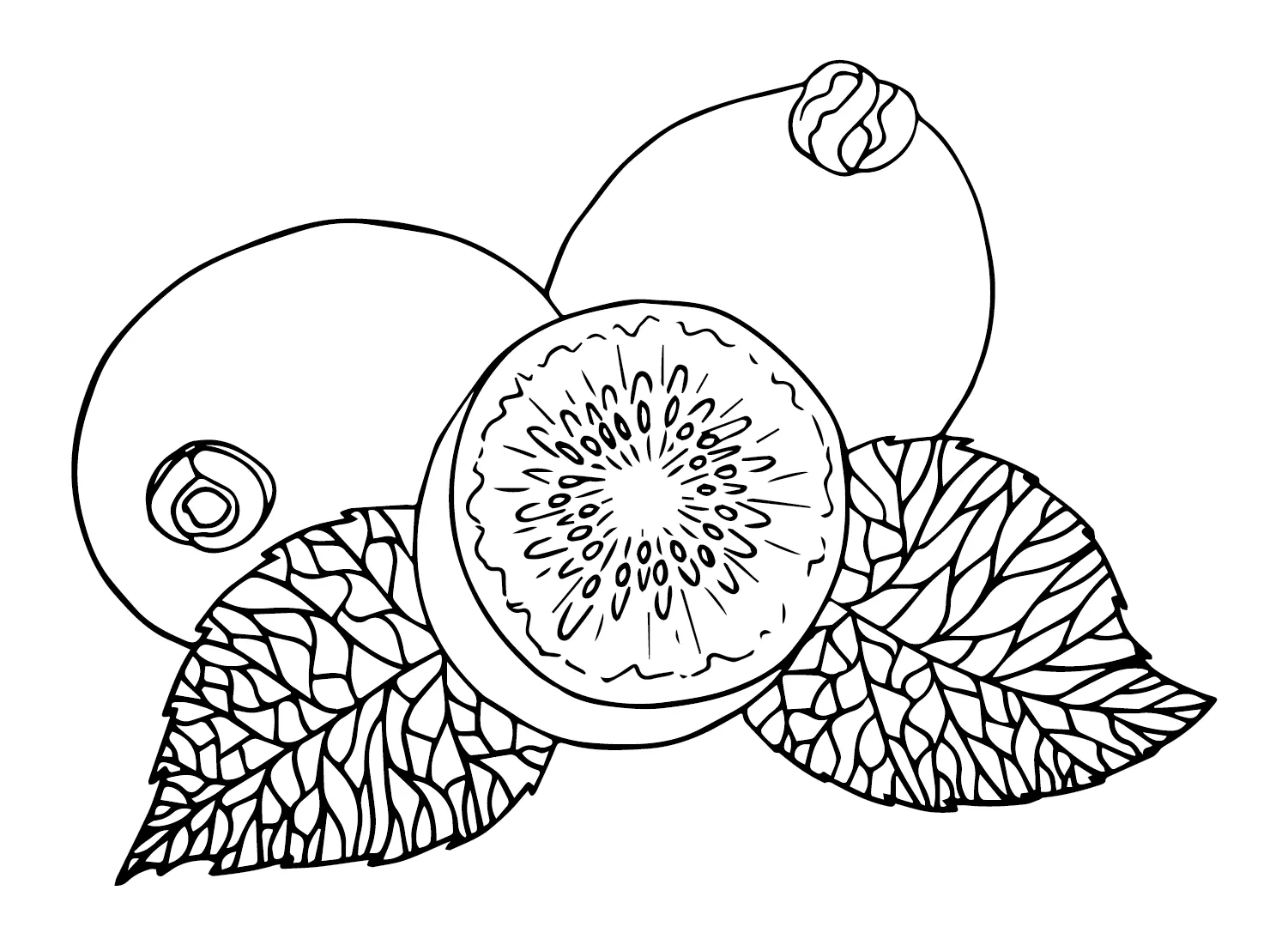 kiwi para colorear 43