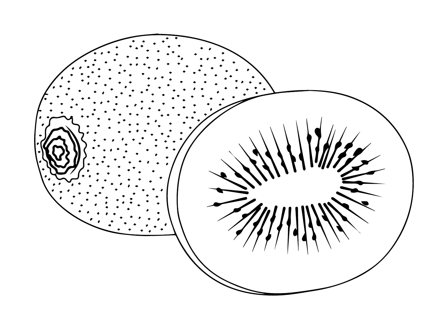 kiwi para colorear 28