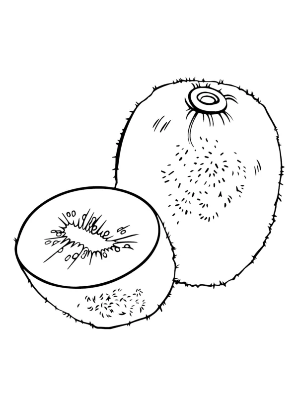 kiwi para colorear 27