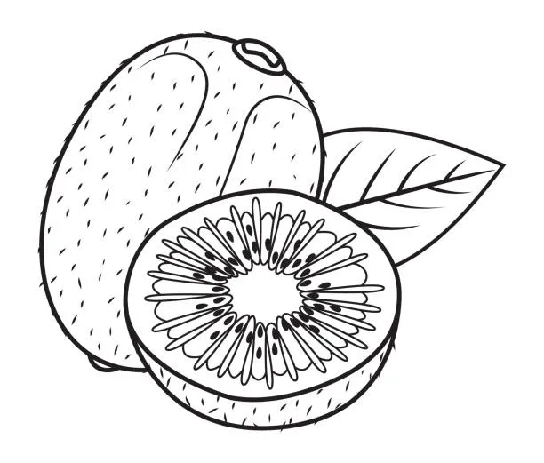 kiwi para colorear 16