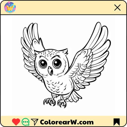 Búho 1 Búho para colorear thumbnail