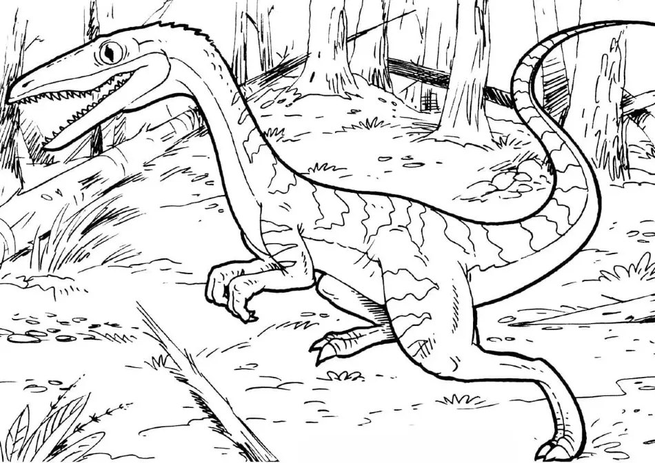 Dinosaurios 39 niños Dinosaurios páginas para colorear