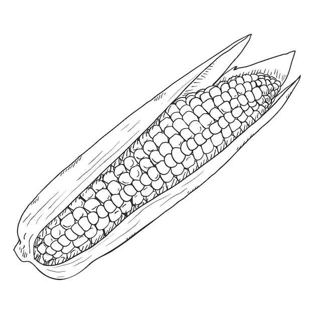 lustige Seiten Ausmalbilder Elote Ausmalbilder 1