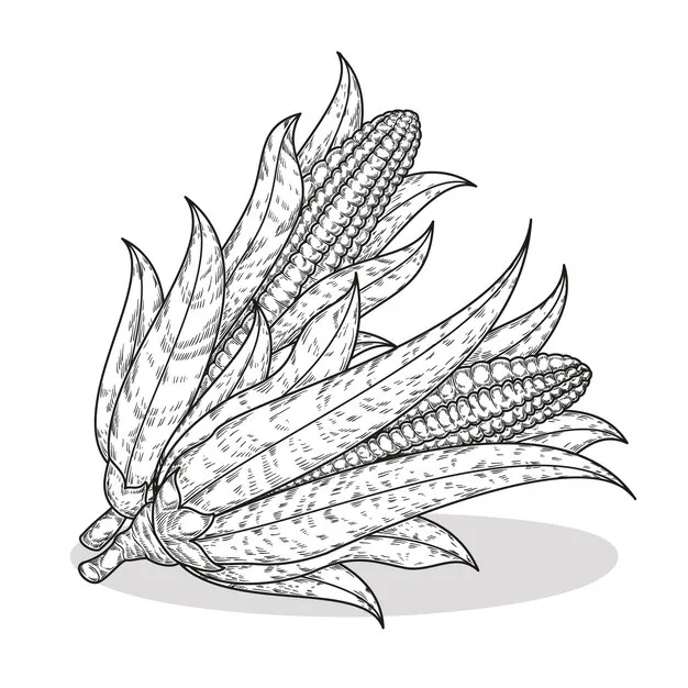 Seiten Ausmalbilder Elote Ausmalbilder 2