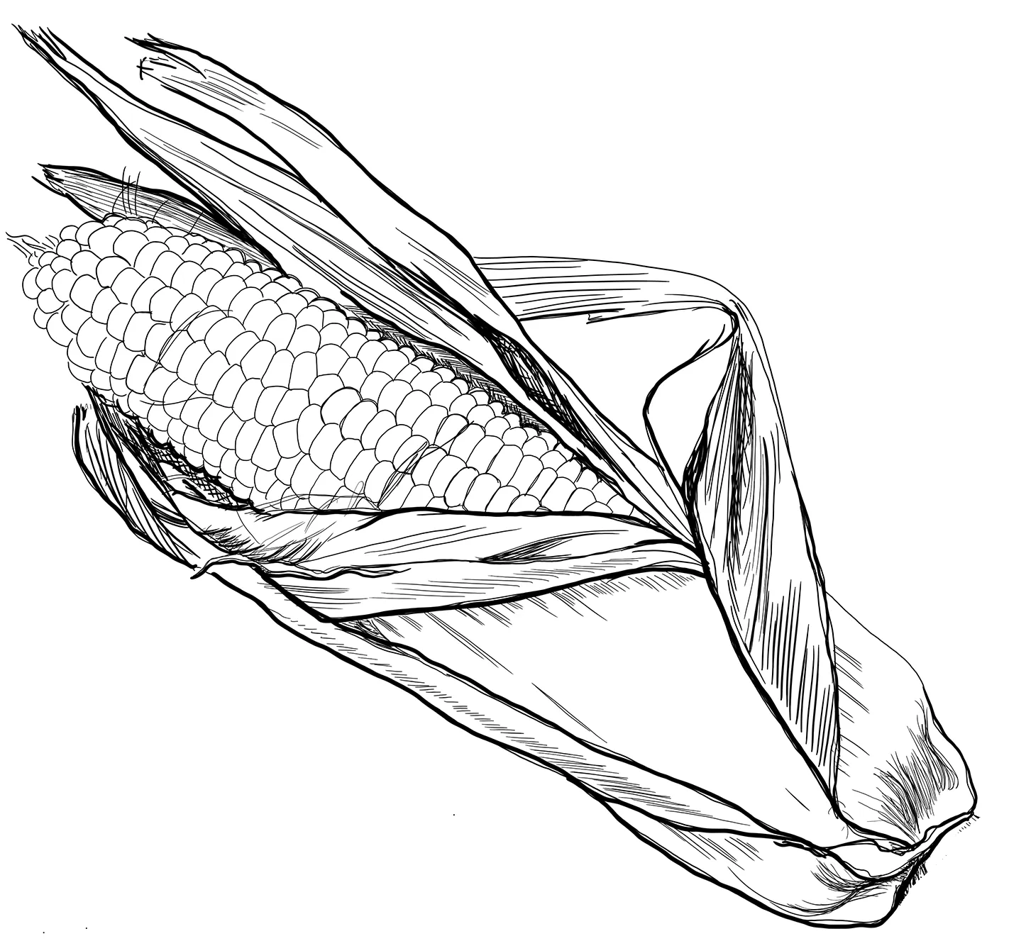 Kostenlose Ausmalbilder-Seiten Elote Ausmalbilder für Erwachsene 1