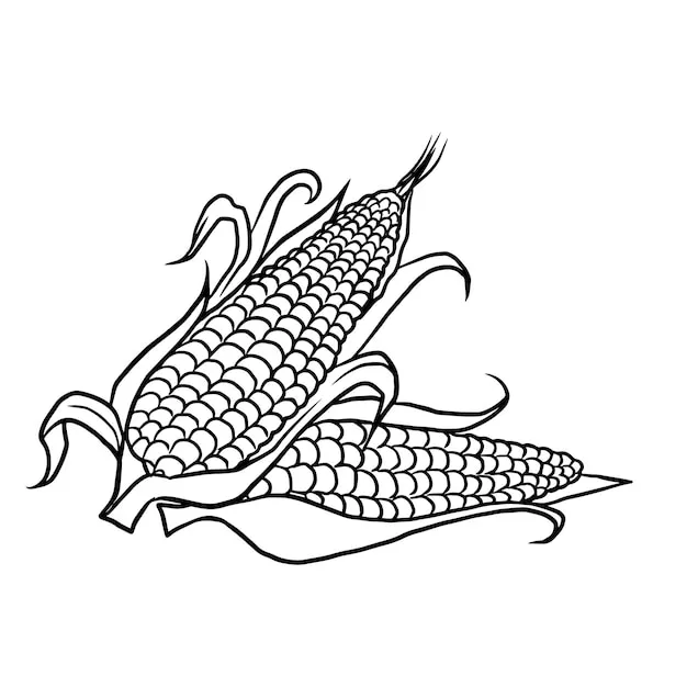 Kostenlose Ausmalbilder-Seiten Elote Ausmalbilder für Erwachsene 3