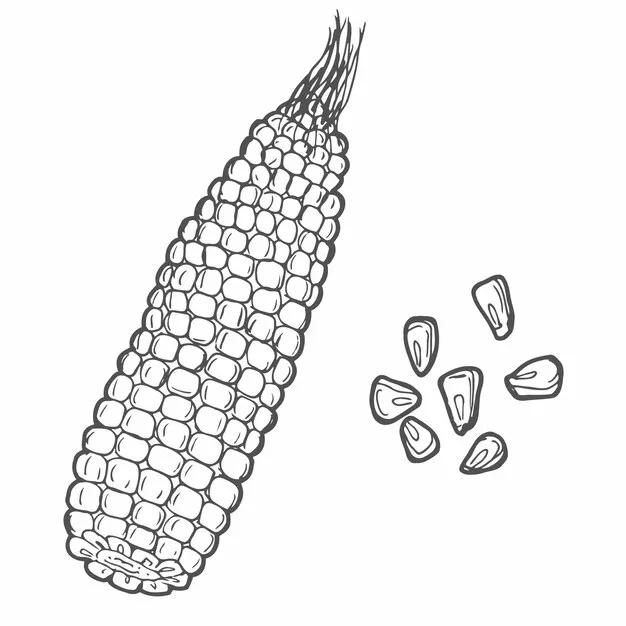 Druckbare Ausmalbilder-Seiten Elote Ausmalbilder für Erwachsene 1