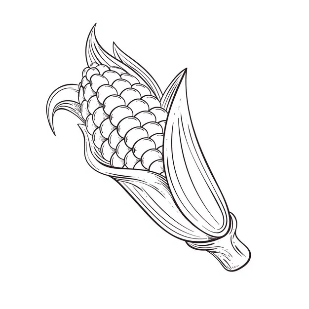 Kinder Elote Ausmalbilder Seiten Ausmalbilder 3