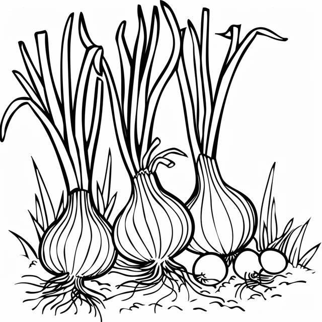 Cebolla 5 páginas para colorear para niños Se cultivan Cebolla en el jardín