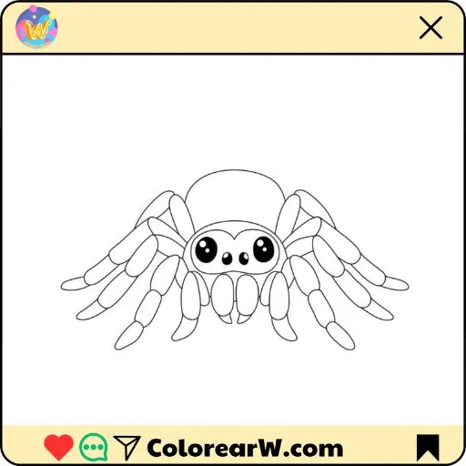 Araña para colorear thumbnail