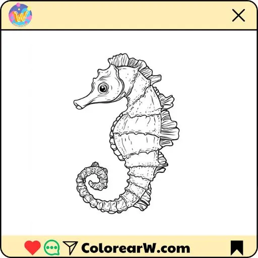 Caballo de mar para colorear thumbnail